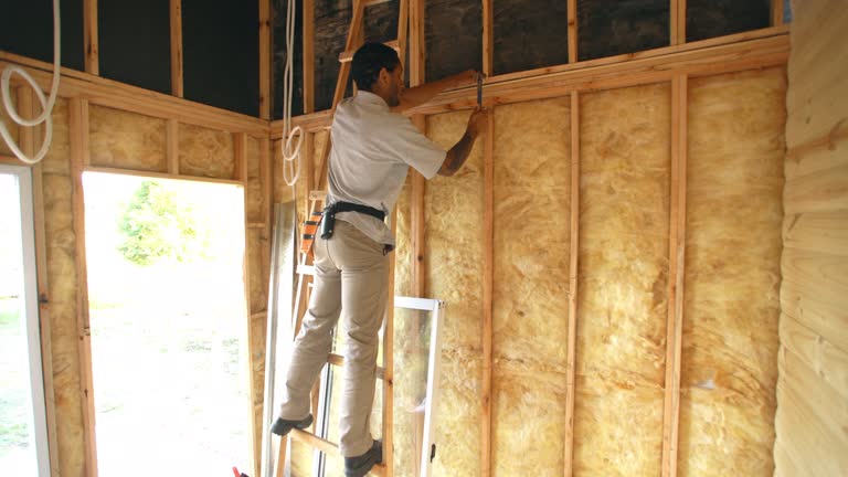 Best Radiant Barrier Insulation  in Silver Firs, WA